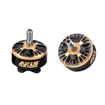 Axis flying Co-Marke Blackbird V3 2207 1975kv/2125kv 5 Zoll bürstenloser Sbang-Motor von höchster Qualität